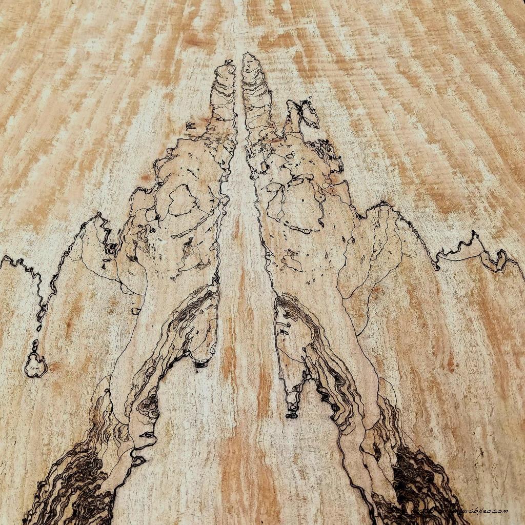 Spalted Maple top. What do you see?