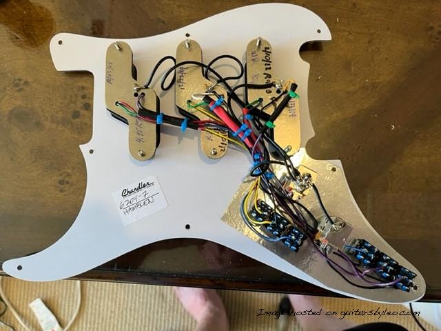 Chandler Pickguard with 6 DPDT Center Off Switches and Potentiometers Back