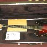 Andrew Leaf's 2000 ASAT Thinline Bass