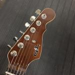 Whiskey matching headstock with model delete