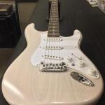S-500 in Blonde Frost over swamp ash