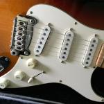 S-500 Pickguard and pickups