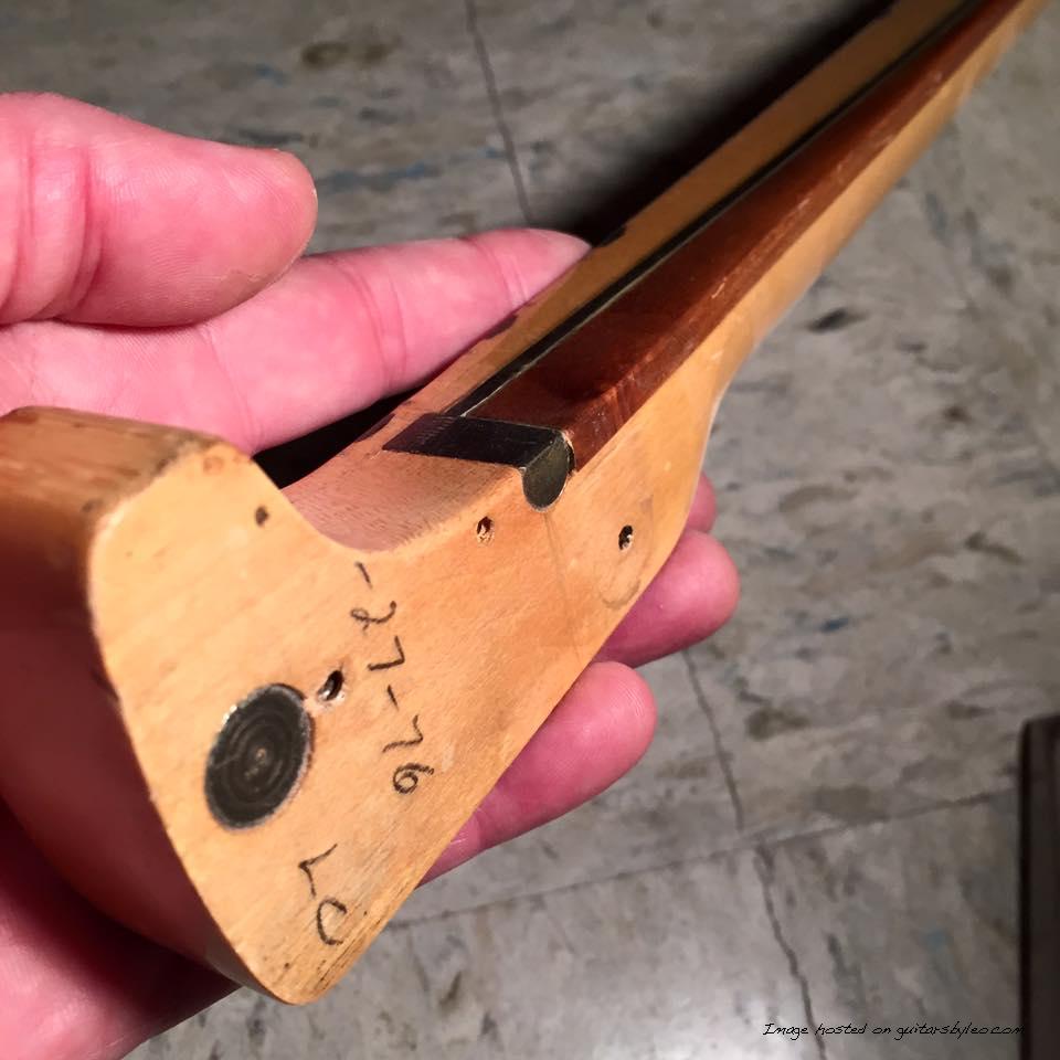 1976 cutaway view shows truss rod action on early Stingray guitar
