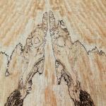 Spalted Maple top. What do you see?