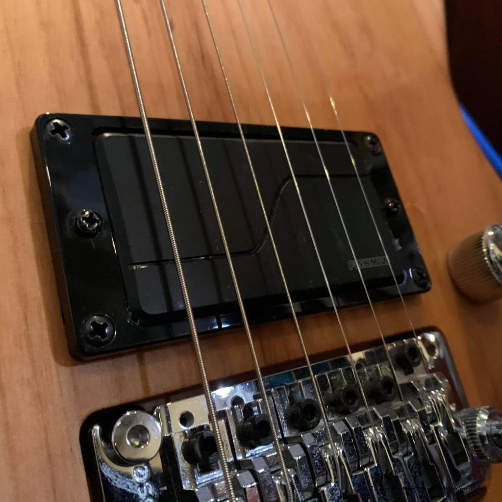 Rev 3 with fishman active pickup2