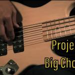 Project Big Chonks