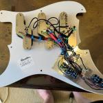 Chandler Pickguard with 6 DPDT Center Off Switches and Potentiometers Back