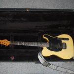 guitar-case