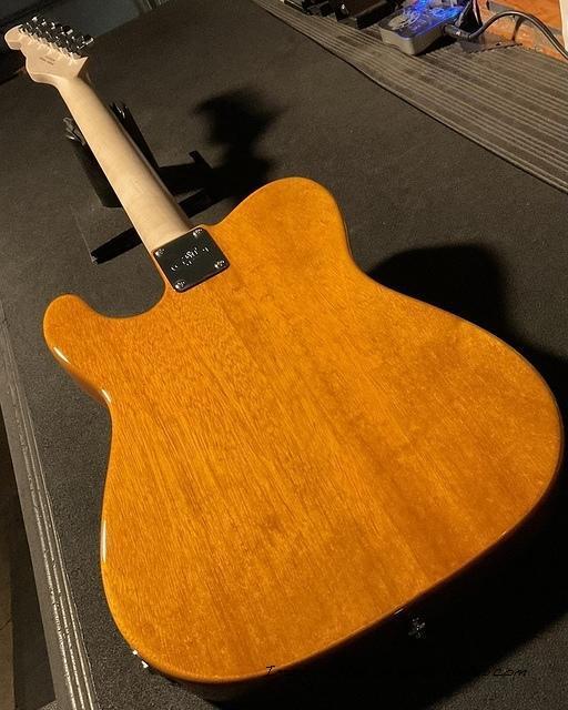 ASAT Special Semi-Hollow in Honey over okoume-2