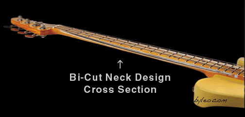 Bi-Cut-neck-Xsection