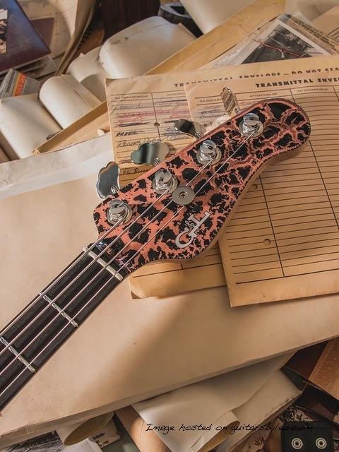 CS2507007-6