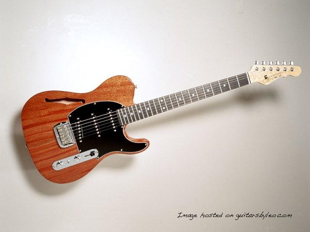 guitarsbyleo.com LE1