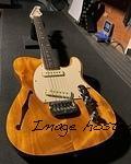 ASAT Special Semi-Hollow in Honey over okoume,