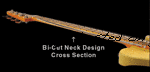Bi-Cut-neck-Xsection