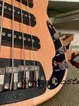 1985 Leo Fender Prototype Single Coil Bi-pole pickups x3-3
