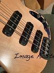 1985 Leo Fender Prototype Single Coil Bi-pole pickups x3-4 001