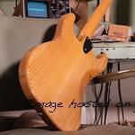 Leo s last prototype6