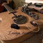 MFD version of the low-output pickups in the CLF-67 68 prototype-2