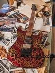CS2505017-1