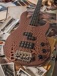 CS2507007-1