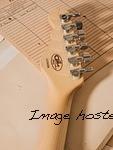 G&L Custom Shop ASAT Classic S in nitrocellulose lacquer Blonde over roasted pine-6
