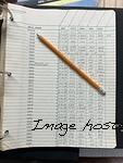 G amp L Factory Log Book-B019194-B019230