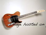 guitarsbyleo.com LE1